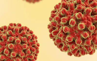 El desafío de erradicar el azote mundial de las hepatitis víricas