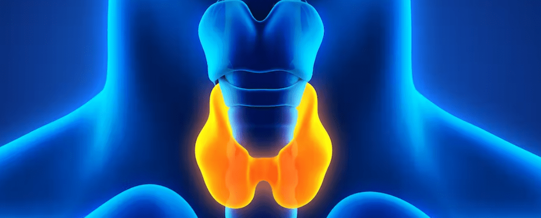Cáncer de tiroides: ¿se ha disparado su incidencia o le hacemos demasiado caso?